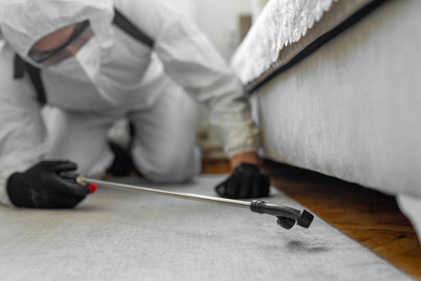 Professional Bed Bug Control technician working in Plantsville, CT