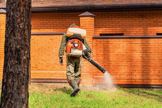 Trusted Fumigation Services service in Plantsville, CT - Nex Pest Control